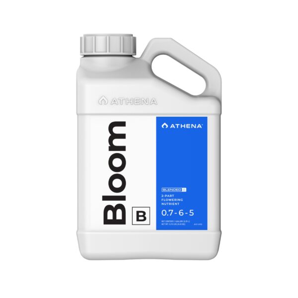 Athena Bloom B 1 Gallon