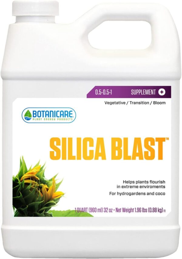 SILICA BLAST