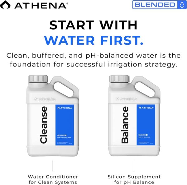 Athena Cleanse 1 Gallon - Image 3