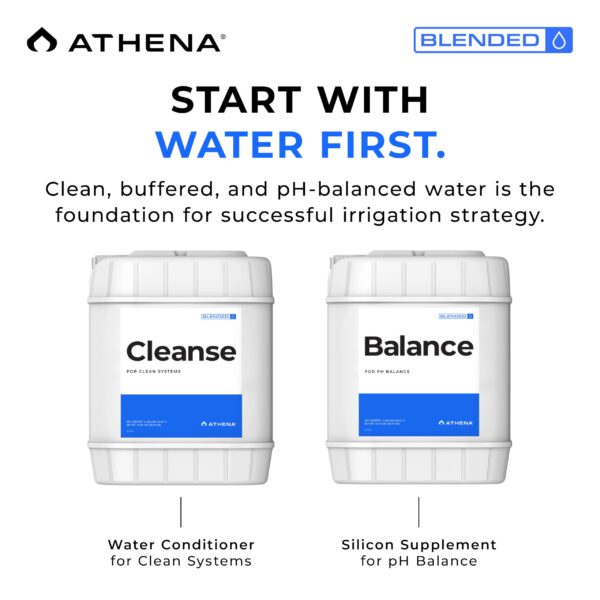 Athena Cleanse 1 Gallon - Image 7