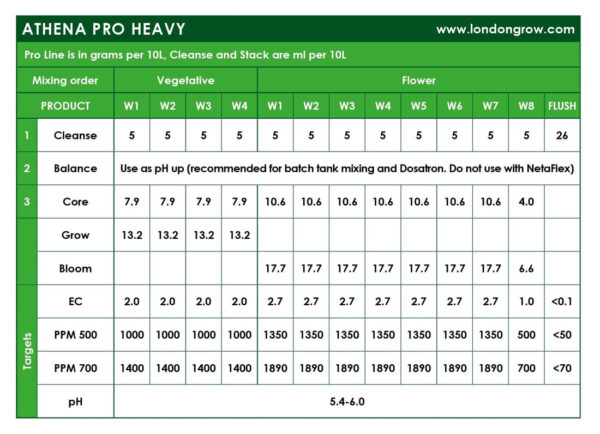 Athena Pro Balance 2 lb - Image 6