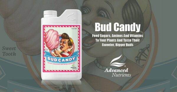 Advanced Nutrients Bud Candy 500 ml - Image 4