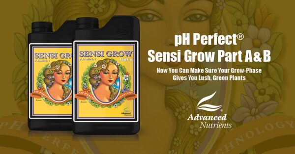 Advanced Nutrients Sensi Grow Part B 500 ml - Image 3