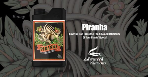 Advanced Nutrients Piranha 250 ml - Image 2