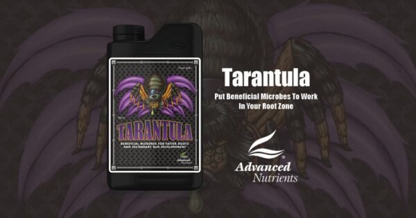 Advanced Nutrients Tarantula 500 ml - Image 5