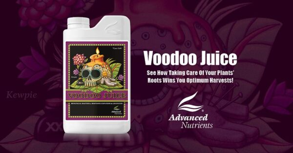 Voodoo Juice Plus 10 Tablet Pack - Image 2